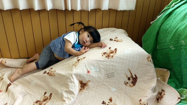 f:id:nogigen:20180526104357j:image