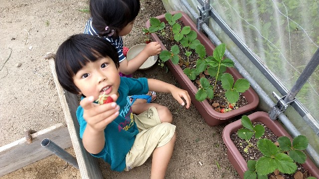 f:id:nogigen:20180526104633j:image