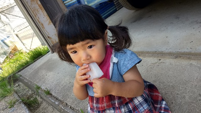 f:id:nogigen:20180629153855j:image