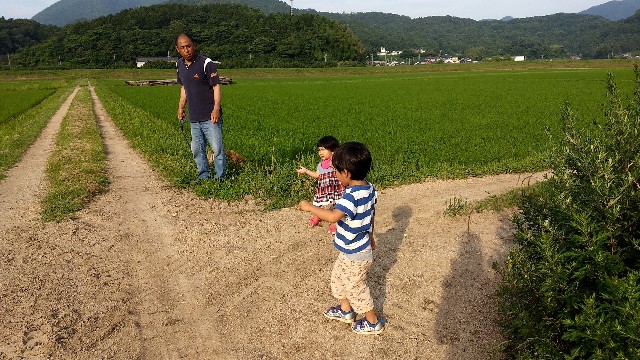 f:id:nogigen:20180629155528j:image