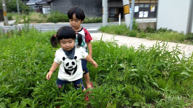 f:id:nogigen:20180629161524j:image