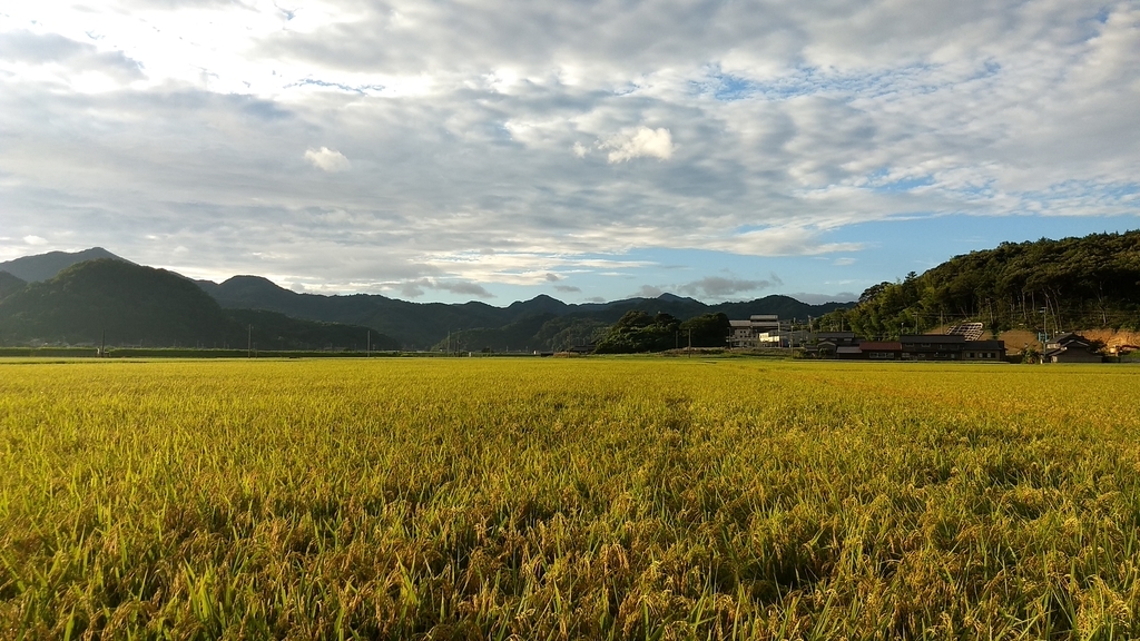 f:id:nogigen:20181226173451j:plain