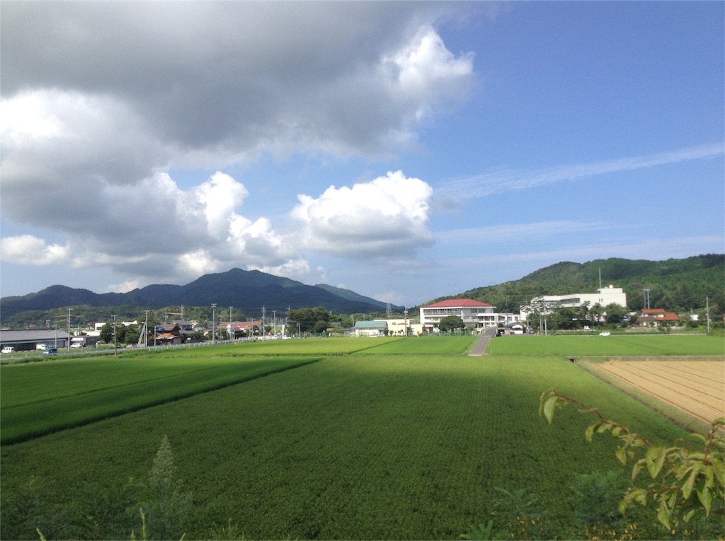 f:id:noginogikun:20160312163935j:image f:id:noginogikun:20160312163935j:image