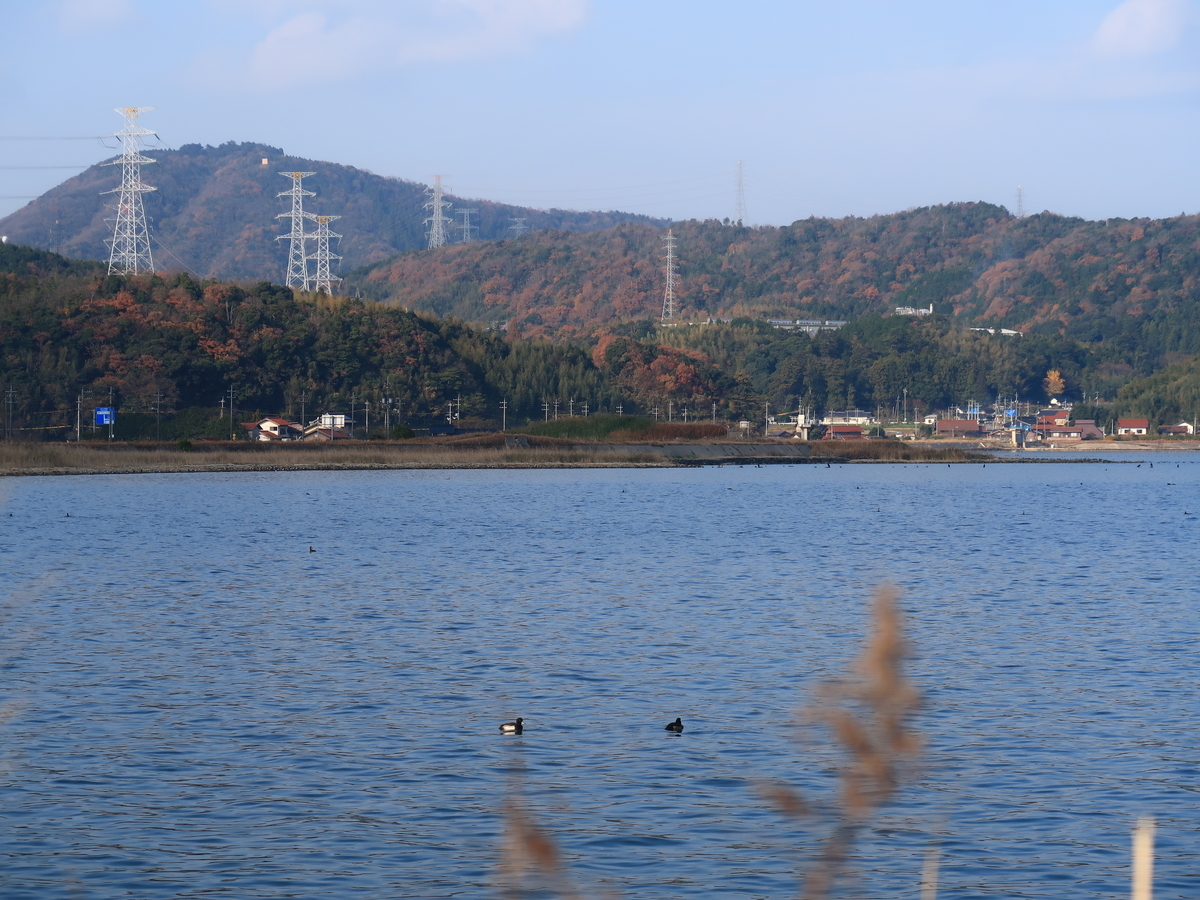 f:id:noginogikun:20191211124552j:plain f:id:noginogikun:20191211124552j:plain