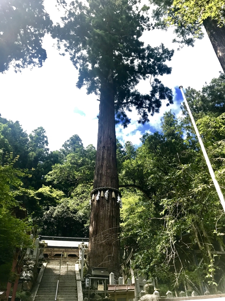 f:id:noguchiyo06:20180912150932j:plain