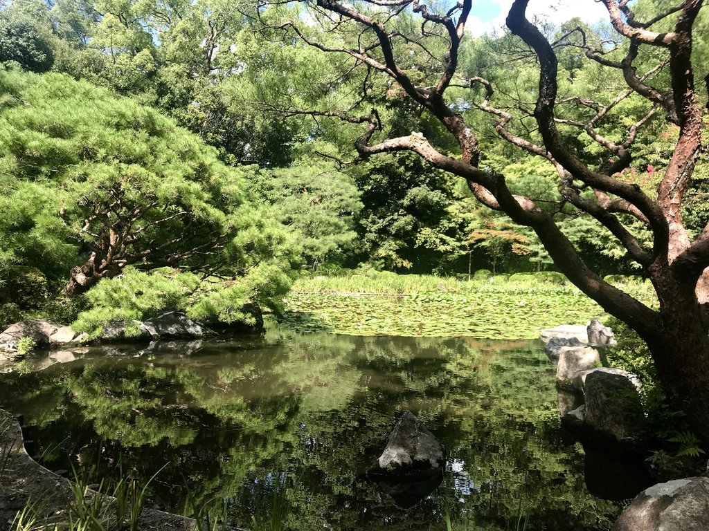 f:id:noguchiyo06:20180924183825j:plain f:id:noguchiyo06:20180924183825j:plain