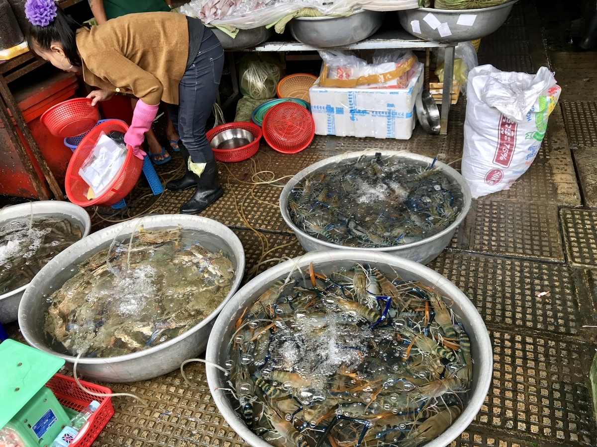 f:id:noguchiyo06:20190505192717j:plain f:id:noguchiyo06:20190505192717j:plain