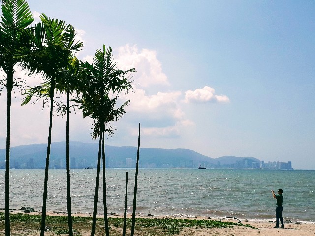 f:id:nogurimom:20200313202529j:plain