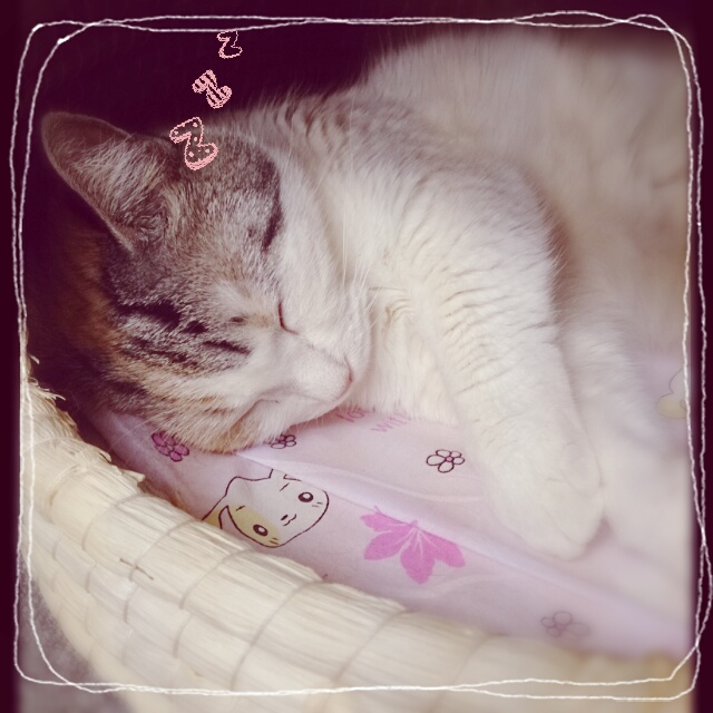 f:id:nogutyo:20140126220736j:plain