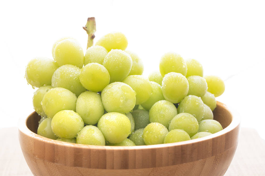 f:id:nogutyo:20180919225029j:plain f:id:nogutyo:20180919225029j:plain