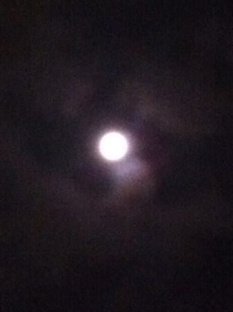 f:id:nohachan:20110912214604j:image f:id:nohachan:20110912214604j:image