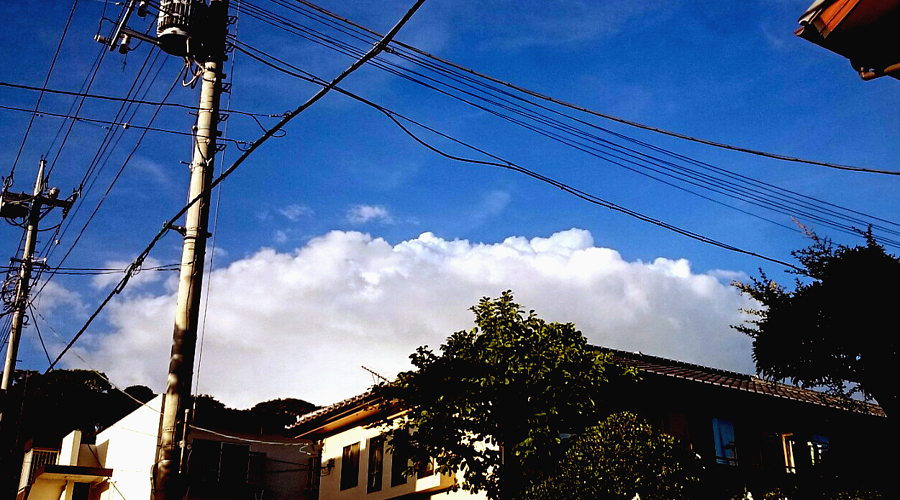 f:id:nohere:20200830013215j:plain f:id:nohere:20200830013215j:plain