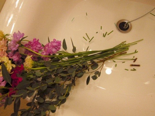 f:id:nohffps:20120204205956j:image f:id:nohffps:20120204205956j:image