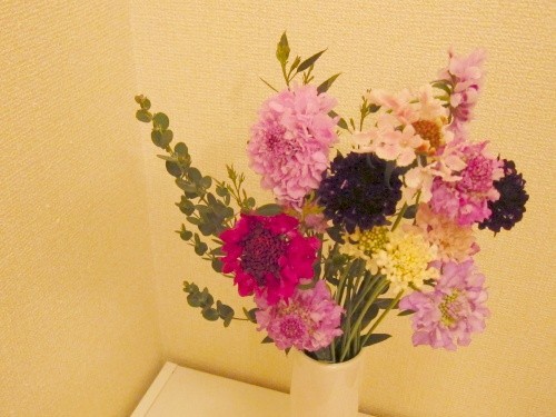 f:id:nohffps:20120204205957j:image f:id:nohffps:20120204205957j:image