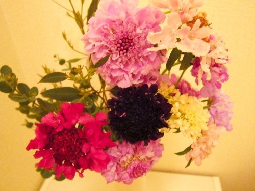 f:id:nohffps:20120204205958j:image f:id:nohffps:20120204205958j:image