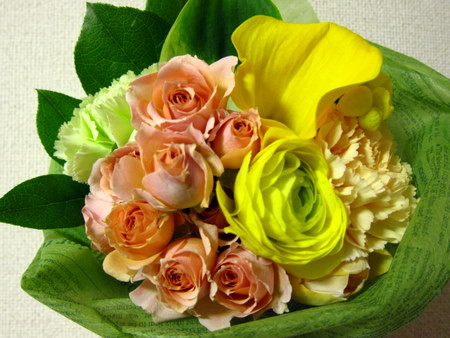 f:id:nohffps:20120313230554j:image f:id:nohffps:20120313230554j:image