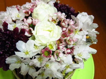 f:id:nohffps:20120429164627j:image f:id:nohffps:20120429164627j:image