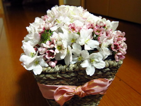 f:id:nohffps:20120429164629j:image f:id:nohffps:20120429164629j:image