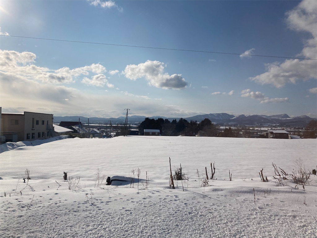 f:id:nohohon223:20230210195104j:image f:id:nohohon223:20230210195104j:image