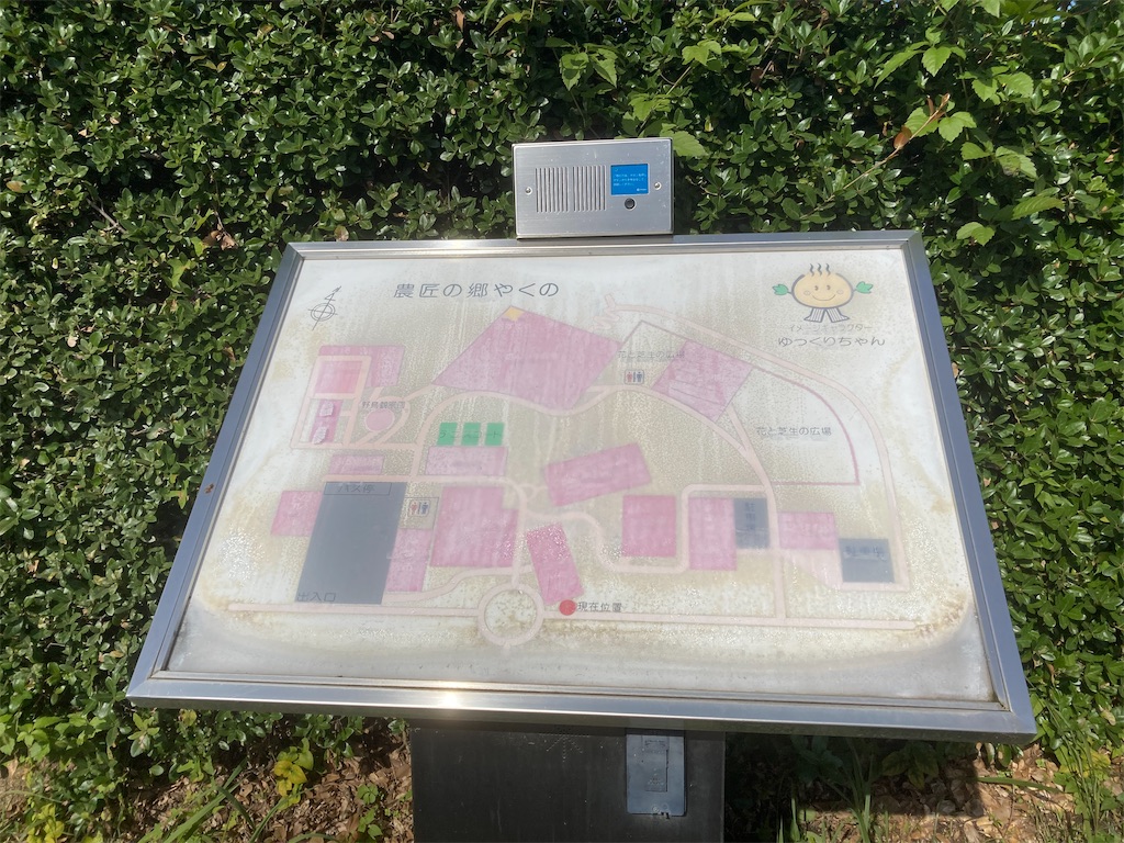 f:id:nohohon223:20241210201738j:image f:id:nohohon223:20241210201738j:image