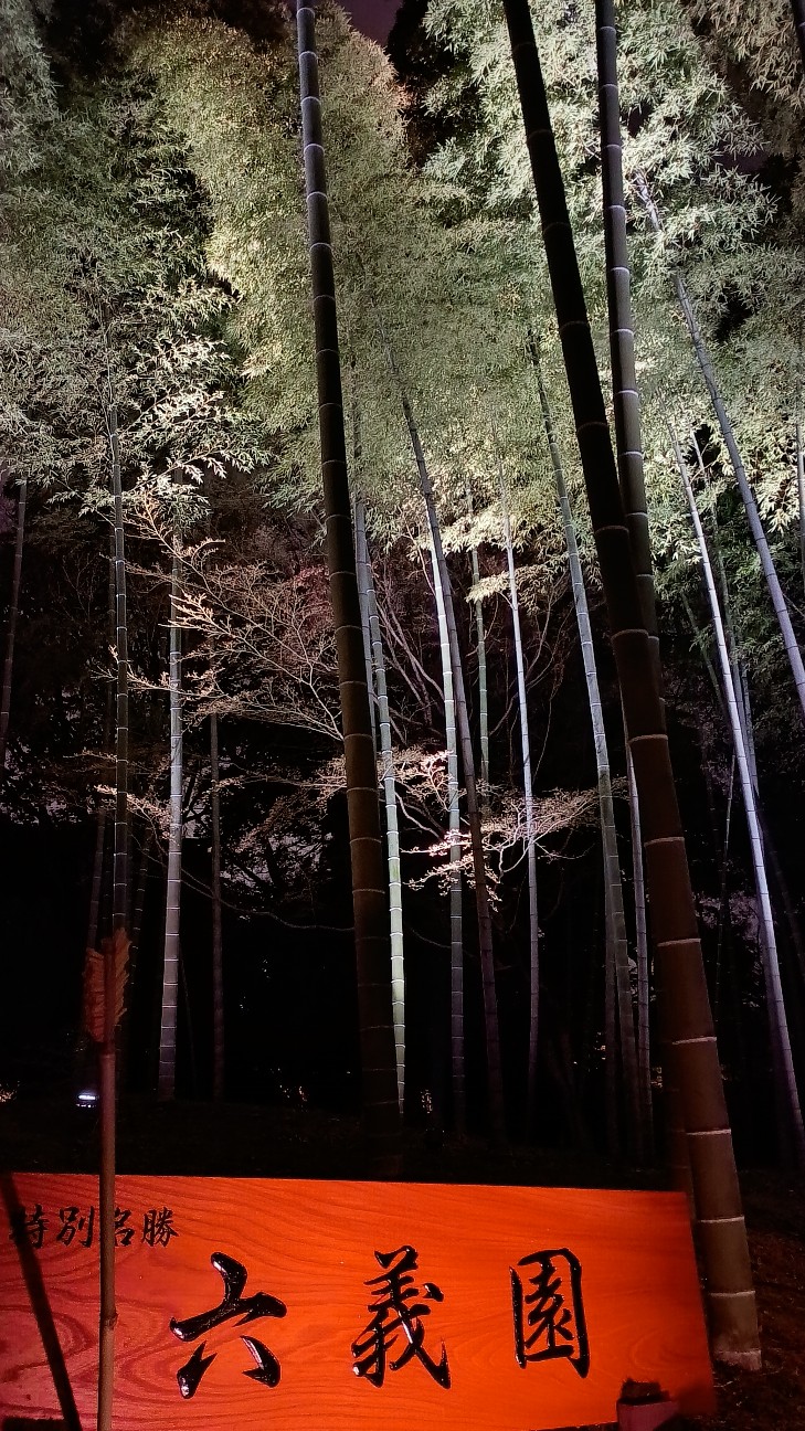 f:id:nohohontanuki:20260322182928j:image f:id:nohohontanuki:20260322182928j:image