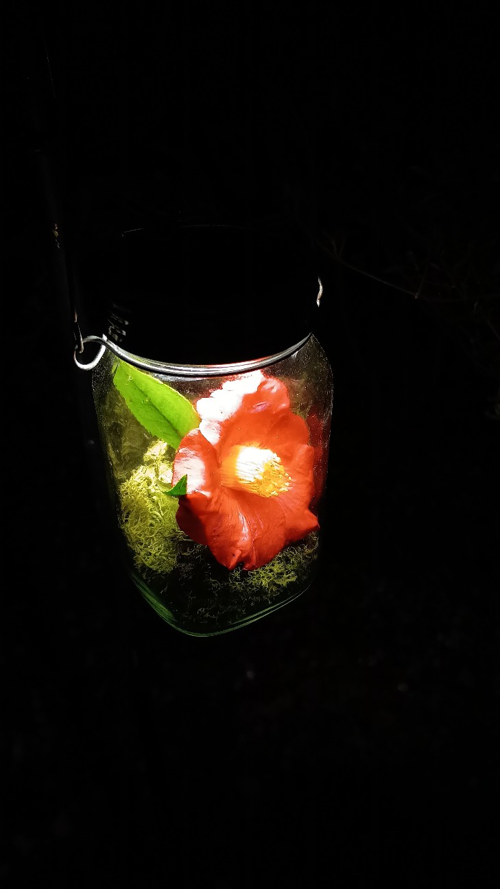 f:id:nohohontanuki:20260322183025j:image f:id:nohohontanuki:20260322183025j:image