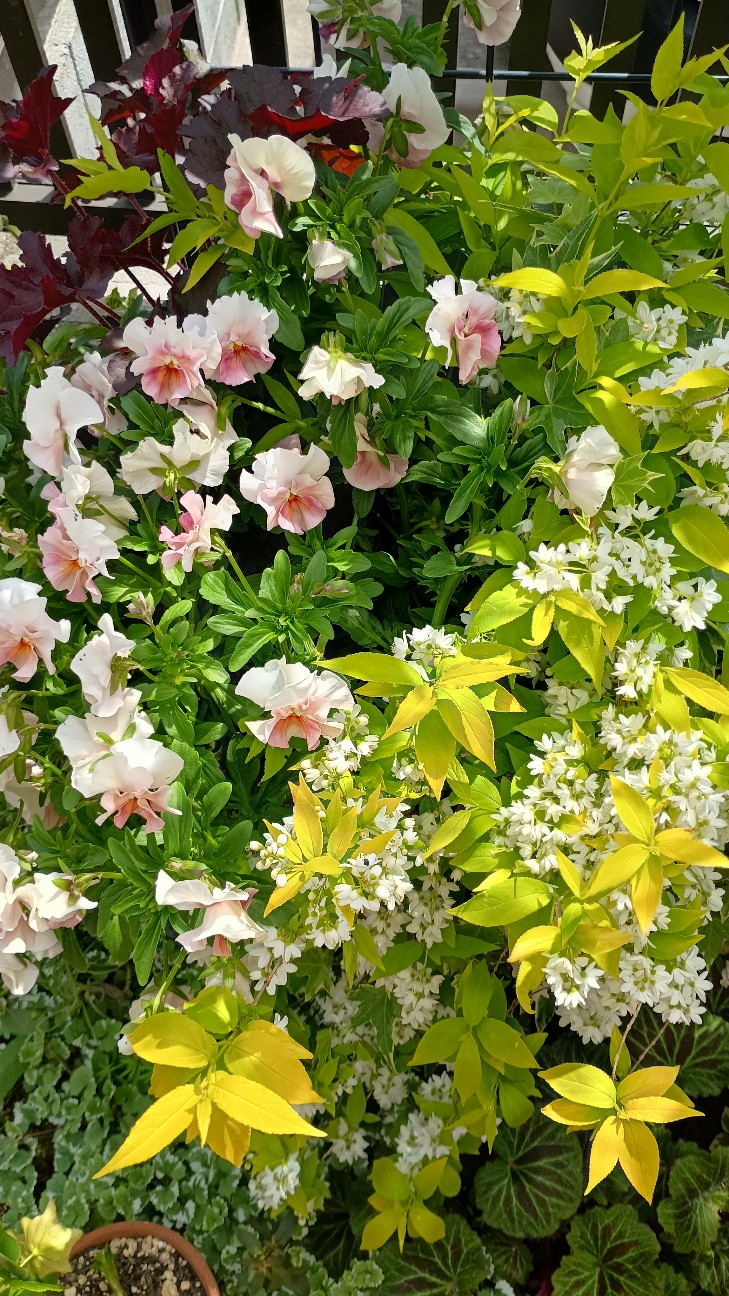 f:id:nohohontanuki:20260418132730j:image f:id:nohohontanuki:20260418132730j:image