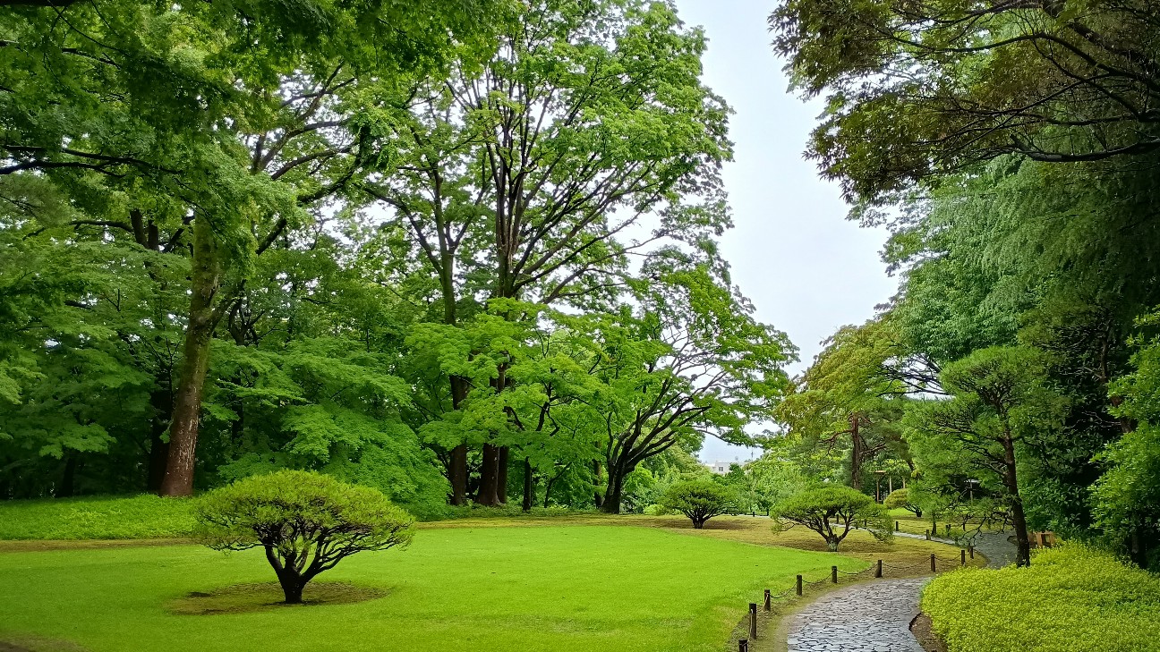 f:id:nohohontanuki:20260620173853j:image f:id:nohohontanuki:20260620173853j:image