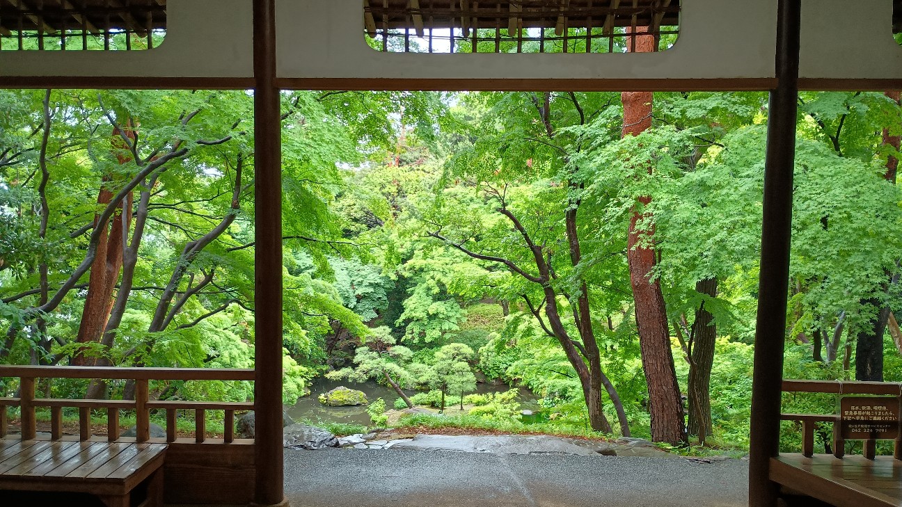 f:id:nohohontanuki:20260620174341j:image f:id:nohohontanuki:20260620174341j:image
