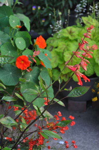 f:id:noi3noi:20190519075333j:plain f:id:noi3noi:20190519075333j:plain
