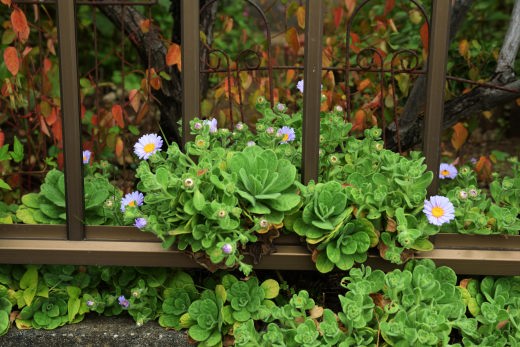 f:id:noi3noi:20201022095720j:plain f:id:noi3noi:20201022095720j:plain