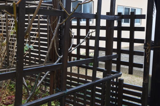 f:id:noi3noi:20210119202434j:plain