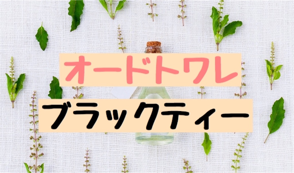 f:id:noi_noinoi:20190519160531j:image f:id:noi_noinoi:20190519160531j:image