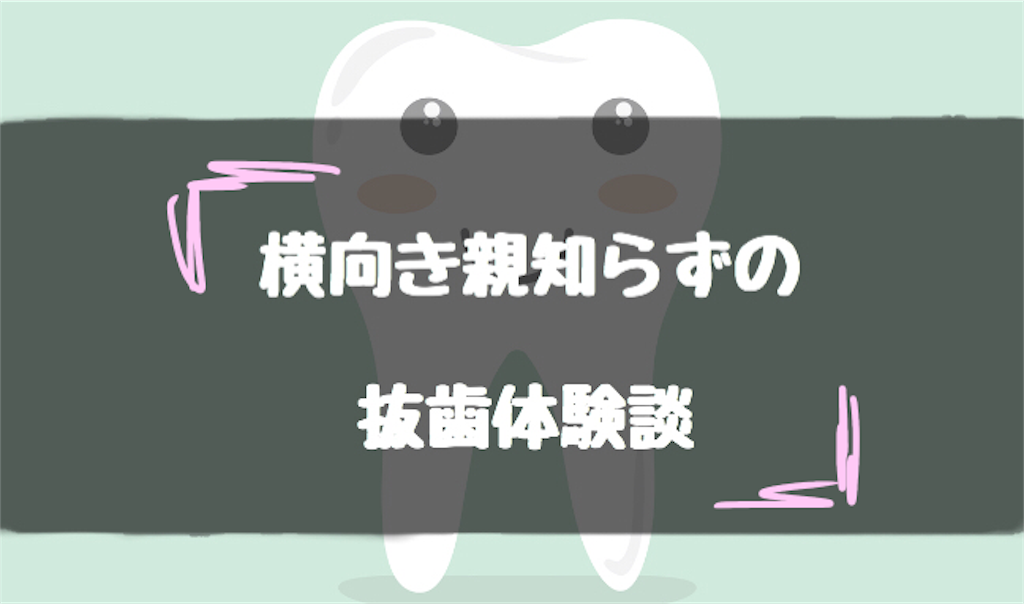f:id:noi_noinoi:20190823014322p:image f:id:noi_noinoi:20190823014322p:image