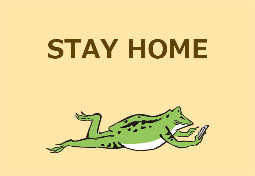 stay home なカエル