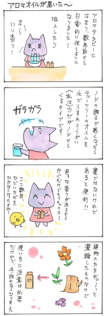 f:id:noika:20170611233501j:plain f:id:noika:20170611233501j:plain