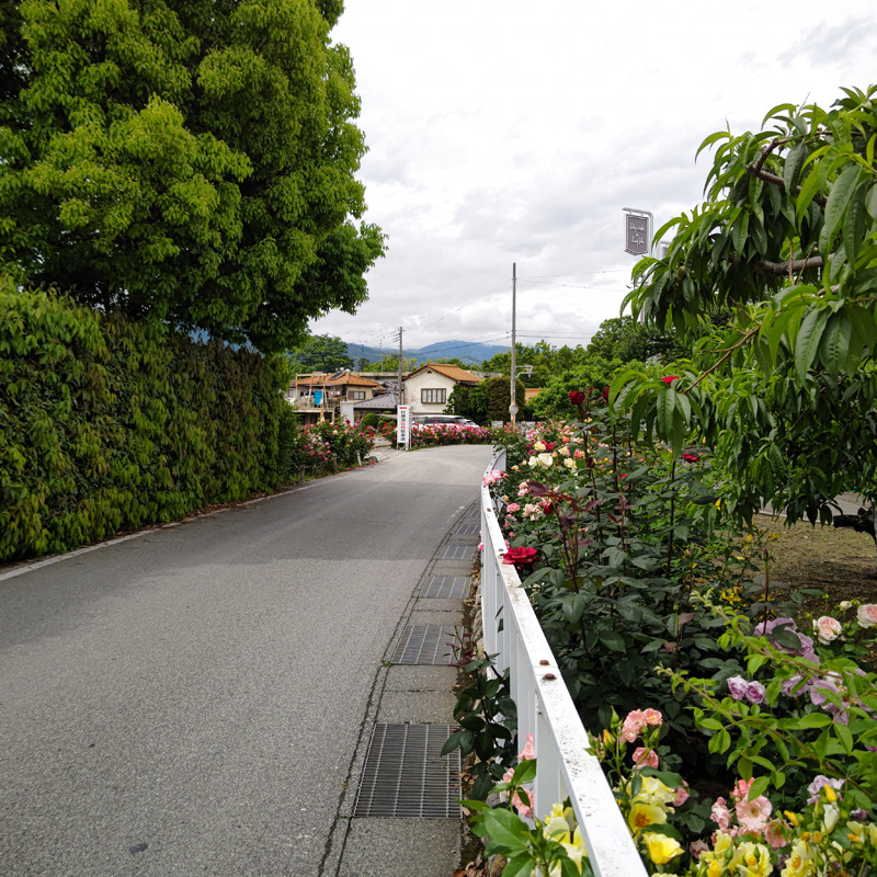 桔梗信玄餅工場テーマパークへ続く道