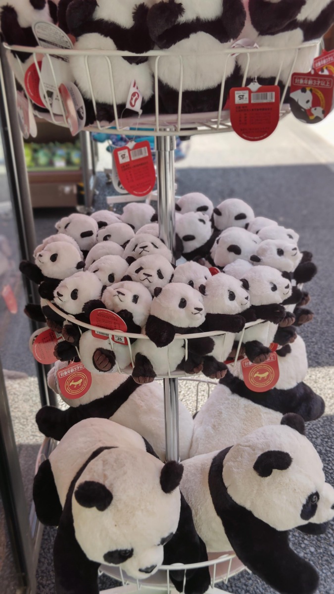 上野動物園 パンダぬいぐるみ軍団