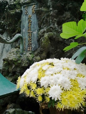 f:id:noir555:20090607165024j:image f:id:noir555:20090607165024j:image