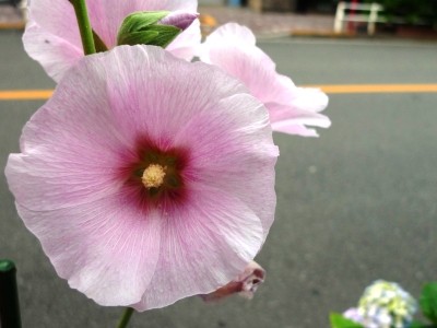 f:id:noir555:20090607174655j:image f:id:noir555:20090607174655j:image