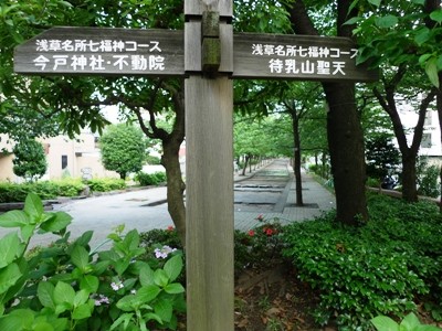 f:id:noir555:20090607175443j:image f:id:noir555:20090607175443j:image