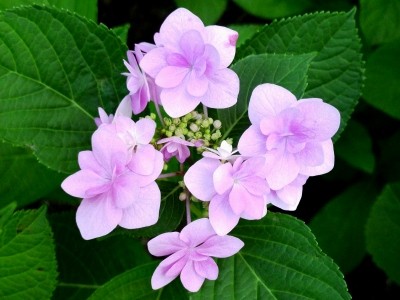 f:id:noir555:20090607175728j:image f:id:noir555:20090607175728j:image