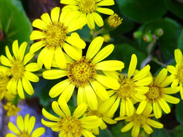 f:id:noir555:20091108143534j:image f:id:noir555:20091108143534j:image