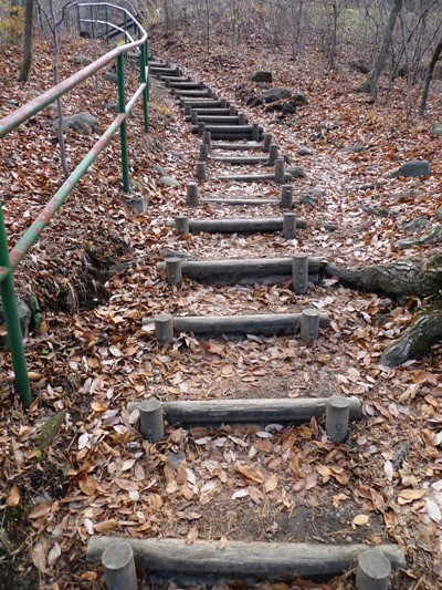 f:id:noir555:20091122095714j:image f:id:noir555:20091122095714j:image