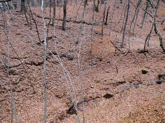 f:id:noir555:20091122100138j:image f:id:noir555:20091122100138j:image