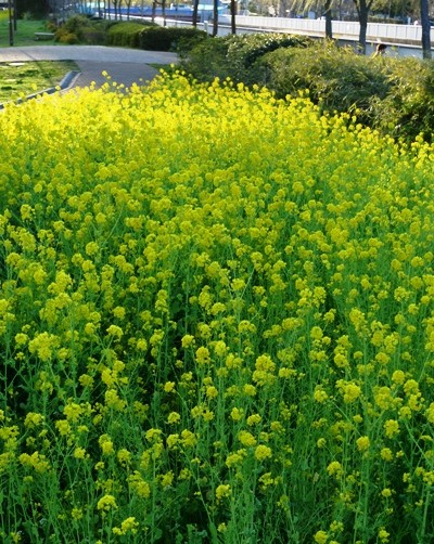 f:id:noir555:20100321172159j:image f:id:noir555:20100321172159j:image