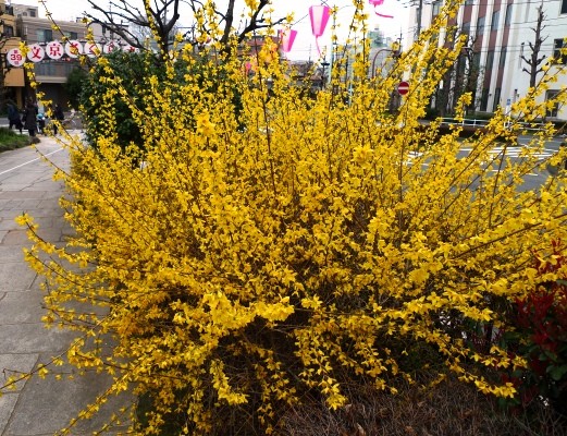f:id:noir555:20100328161517j:image f:id:noir555:20100328161517j:image