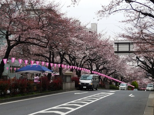 f:id:noir555:20100328163217j:image f:id:noir555:20100328163217j:image