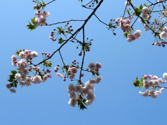 f:id:noir555:20100411130356j:image f:id:noir555:20100411130356j:image