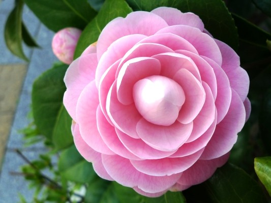 f:id:noir555:20100411144830j:image f:id:noir555:20100411144830j:image